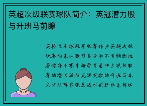 英超次级联赛球队简介：英冠潜力股与升班马前瞻